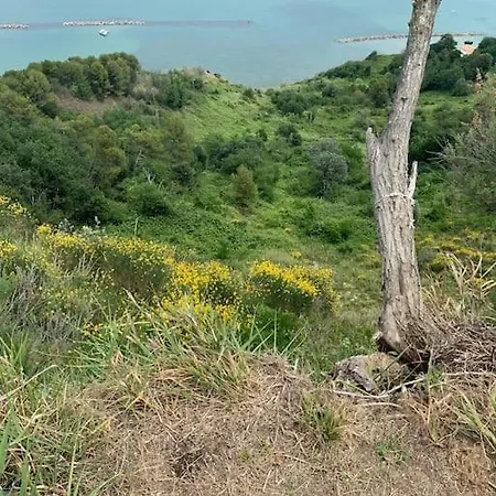 Villa Parisi, Fano, Marche, Italian